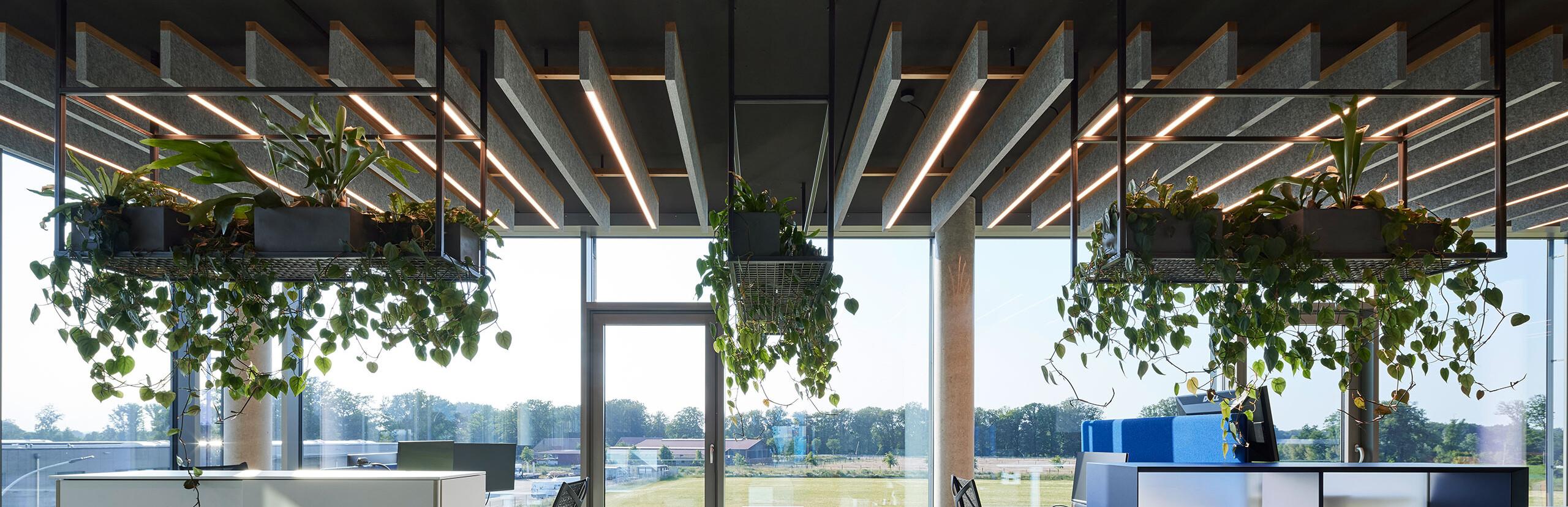 Integration von Lichtlösungen in Akustiksysteme