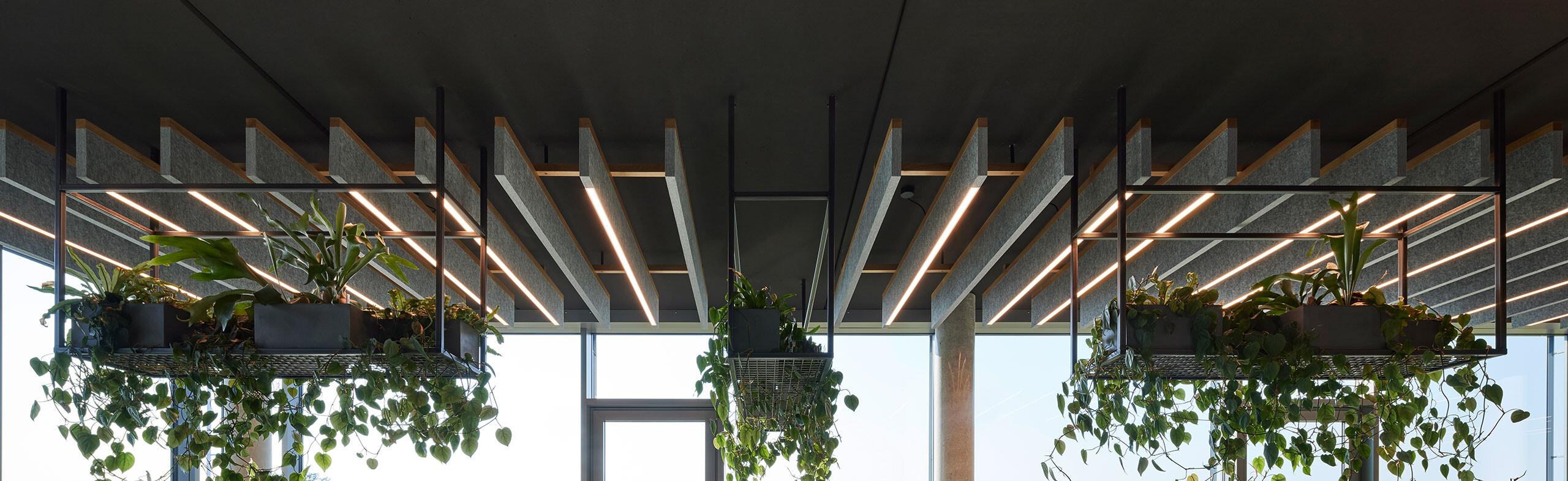 Moderne Bürobeleuchtung mit blendfreien LED-Pendelleuchten über den Schreibtischen.