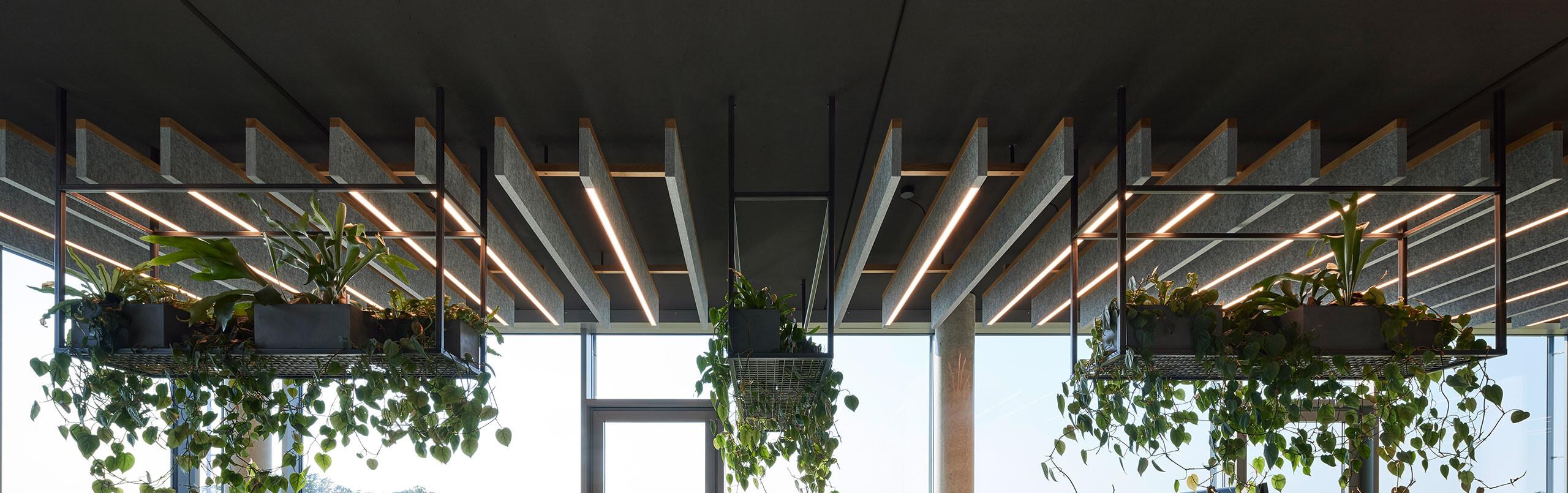 Akustikplanung im Büro: Kombination aus Akustikpaneel mit Licht und ergonomischer Bürobeleuchtung.